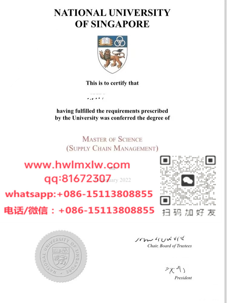 NUS Master Diploma Certificate
