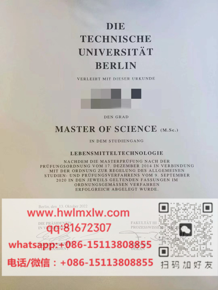 TU Berlin Master Diploma Certificate